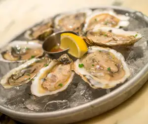 fresh oysters on display over ice
